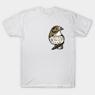 Ovenbird Graphic T-Shirt